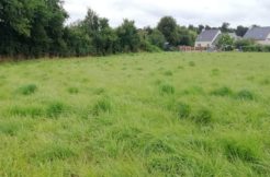 Terrain à Dinan 22100 350m2 78000 € - PJ-24-08-22-3