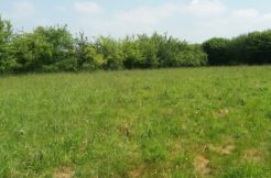 Terrain à Lamballe-Armor 22400 457m2 48900 € - ASCO-24-08-21-32