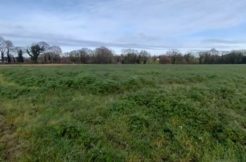 Terrain à Saint-Samson-sur-Rance 22100 430m2 58000 € - PJ-24-09-02-2