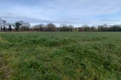 Terrain à Les-Champs-Geraux 22630 500m2 45000 € - PJ-24-08-20-3