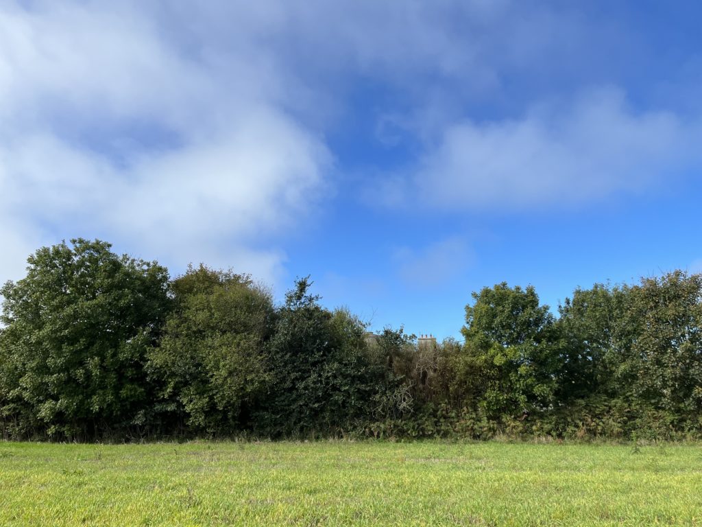 Terrain à Kersaint-Plabennec 29860 457m2 64000 € - JPD-24-09-24-7