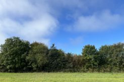 Terrain à Kersaint-Plabennec 29860 457m2 64000 € - JPD-24-09-24-7