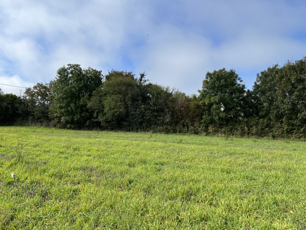 Terrain à Kersaint-Plabennec 29860 410m2 57000 € - JPD-24-09-24-8