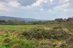 Terrain à La-Forest-Landerneau 29800 370m2 59000 € - JPD-24-08-26-8