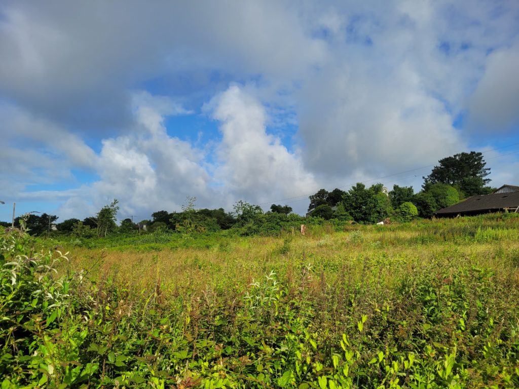 Terrain à La-Forest-Landerneau 29800 415m2 68000 € - YDE-24-10-01-5