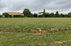 Terrain à Castres 81100 1000m2 79000 € - NIMA-24-09-11-2