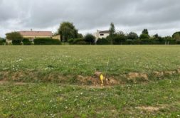 Terrain à Castres 81100 1000m2 79000 € - NIMA-24-09-19-2