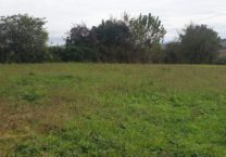 Terrain à Clermont-Saves 32600 1420m2 135000 € - VIMA-24-10-16-1