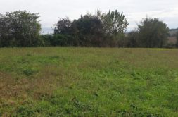 Terrain à Clermont-Saves 32600 1420m2 135000 € - VIMA-24-10-16-1