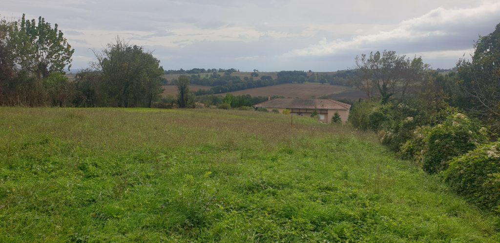 Terrain à Clermont-Saves 32600 1420m2 135000 € - VIMA-24-10-16-1